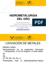 Hidrometalurgia-Meatlurgia Del Oro