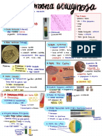 Pseudomona Aeruginosa y Vibrios - @valepl - Charlotte