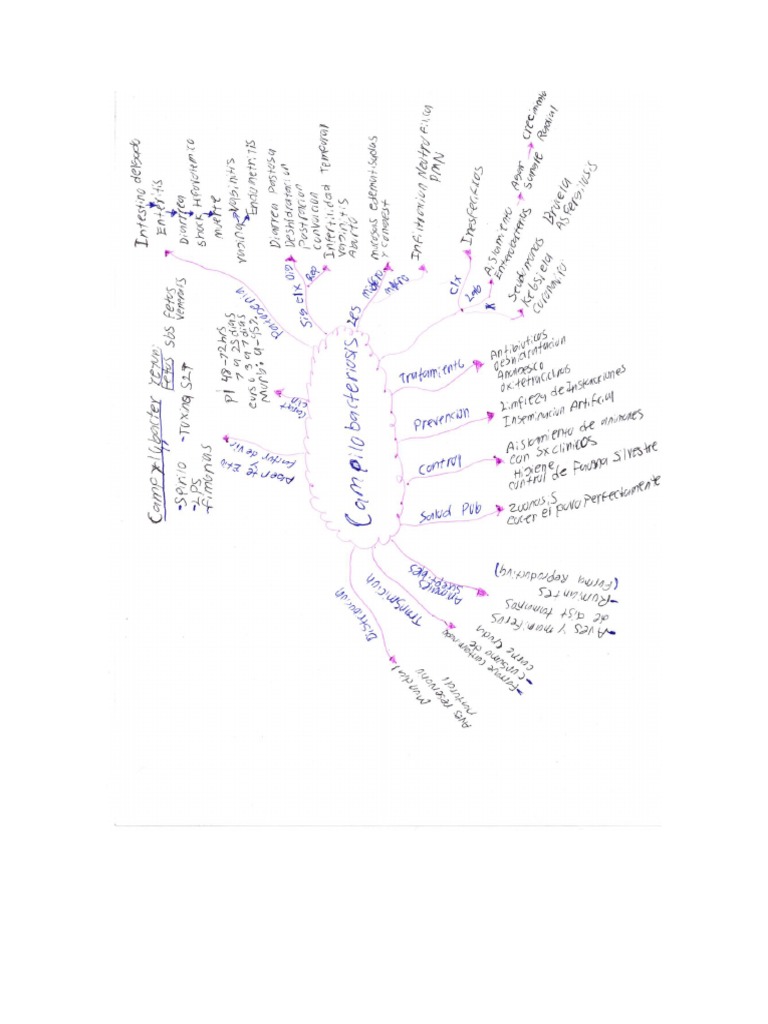 Campilobacteriosis PDF