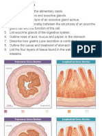 Digestion Review