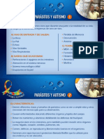 NEE-parasitos y Autismo PDF