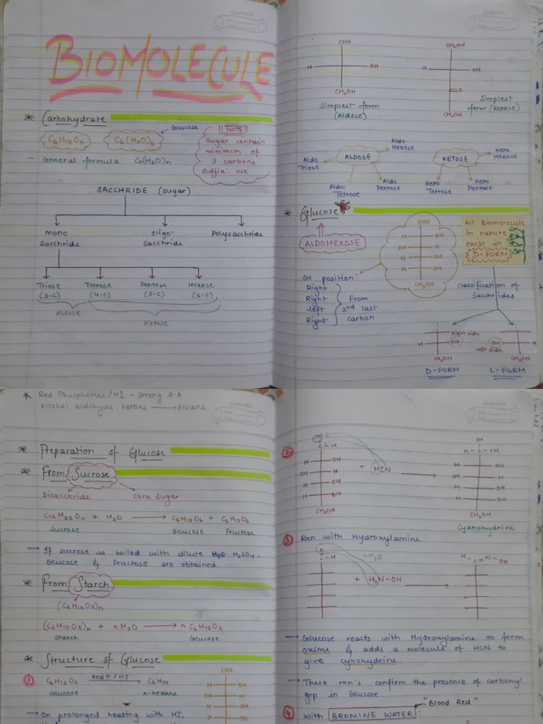 Biomolecules PDF | PDF | Carbohydrates | Glycogen