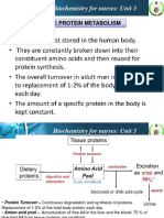 Protein Metabolism