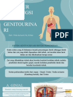 Anatomi Fisiologi Sistem Genitourinari