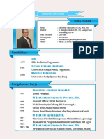 Curriculum Vitae Antonius Suryanta (CV Anton)