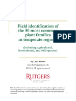 Field Identification