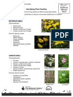 Handout 11 Identifying Plant Families