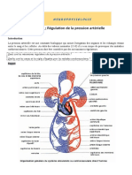 Chap 4 Pression Arterielle