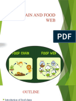 FOOD CHAIN AND FOOD WEB by Jenie Gyn Maso