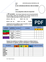 Práctica Final de Comunicación Del Mes de Enero