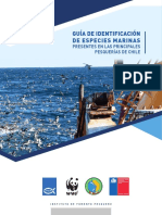 Guia Especies Marinas Presentes en Las Pesquerias Ifop (2019) PDF