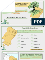 Potencial da fruticultura no Semiárido- Agropec 2022.pptx