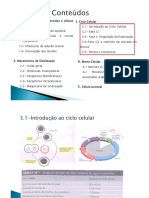 Aulas 11 e 12