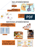 Sistema Endócrino