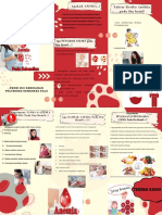 Leaflet Anemia