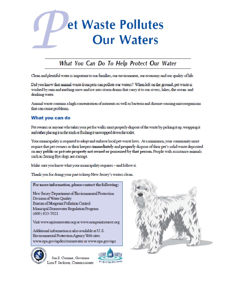 Pet Waste Stormwater | PDF