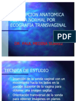 Descripcion de La Anatomia Pelvica Normal Por Ecografia Tran