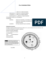 Dossier-Resumen: Cianobacterias-2022