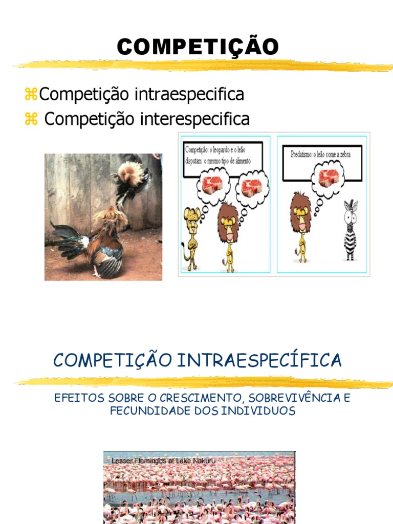 Efeitos da Competição Intraespecífica | PDF | Nicho ecológico | Ecologia