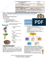 Guias de Clase, Talleres, Evaluaciones: Guia 3 Literatura Preshipánica-Precisión Léxica-Mapas Conceptuales