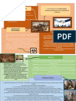 Copia de INFOGRAFÍA HISTORIA - SOL MADEO 2°3