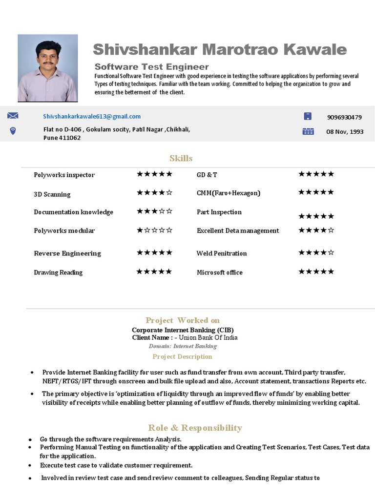 Software Test Engineer Profile Summary | PDF | Internet | Online Banking