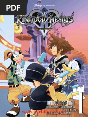 Kingdom Hearts_ The Novel (light novel)