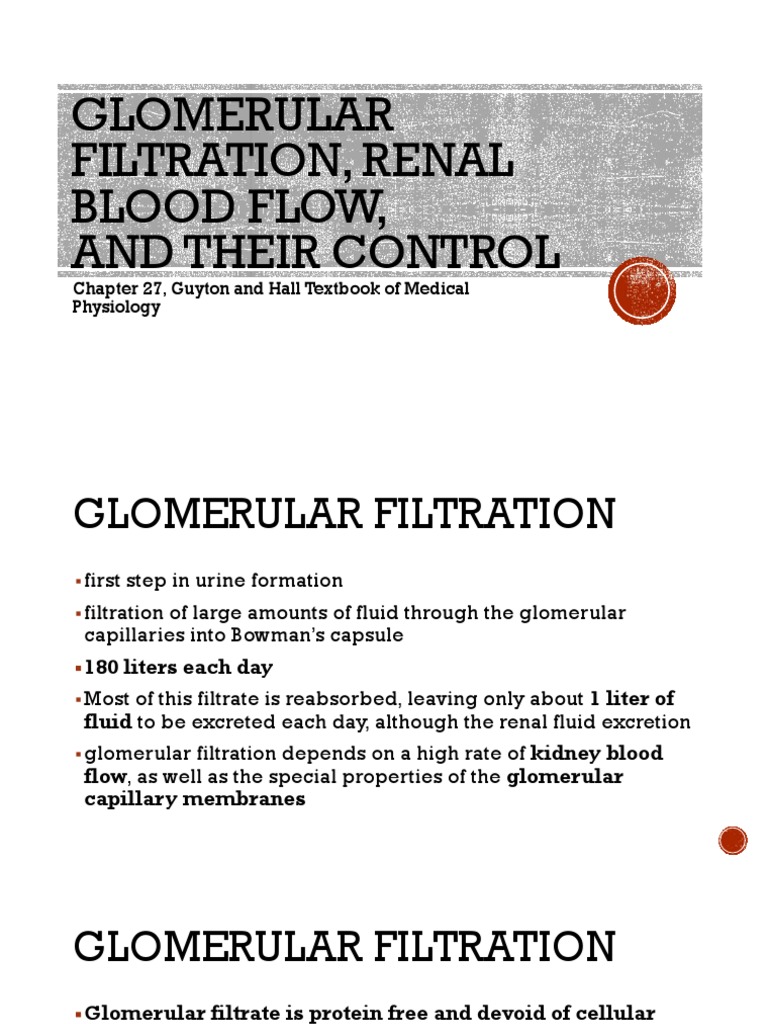 Glomerular Filtration, Renal Blood Flow PDF Kidney Capillary