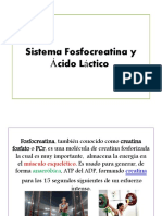 Sistema Fosfocreatina y Acido Lactico