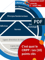 Guide PDF - Cripp (Cadre de Reference International Des Pratiques Professionnelles de L'audit Interne) 10 Points Cles