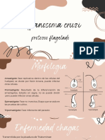 Trypanosoma Cruzi PDF