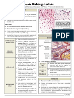 Histology Lec Midterms Transes PDF