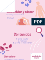 Ciclo celular y cáncer