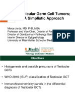Merce Jorda Testicular Germ Cell Tumors A Simplistic Approach PDF