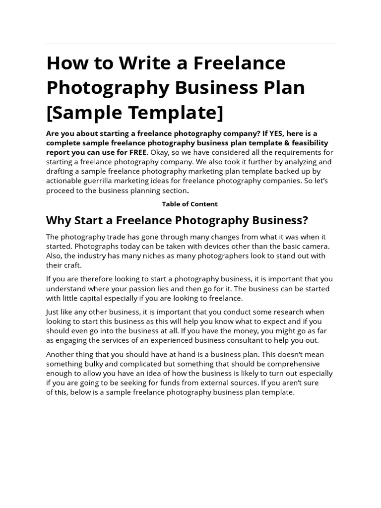 Freelance Photography Business Plan by Tonydoo Visuals PDF Marketing Marketing Strategy
