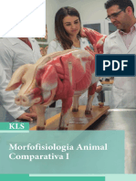 Apostila Institucional - Morfofisiologia 1.pdf