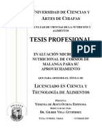 Yesenia de J. Ochoa Espinosa Evaluación Microbiana y Nutricional de Cormos de Malanga para Su Aprovechamiento.