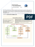 Recomendaciones Generales