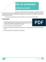 Decorul Usii Coronita PDF
