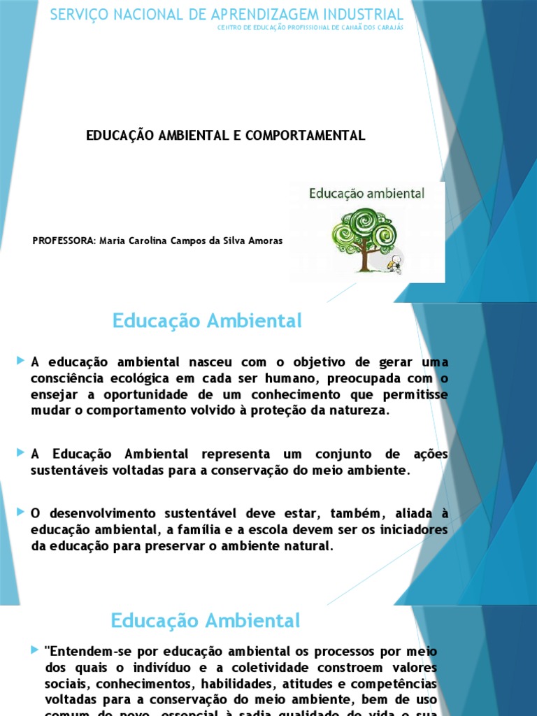 Educação Ambiental e Sustentabilidade | PDF | Desperdício | Reciclagem