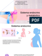Embarazo Sistema Endocrino