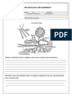 alimentação da planta 4 ano positivo on(1).docx