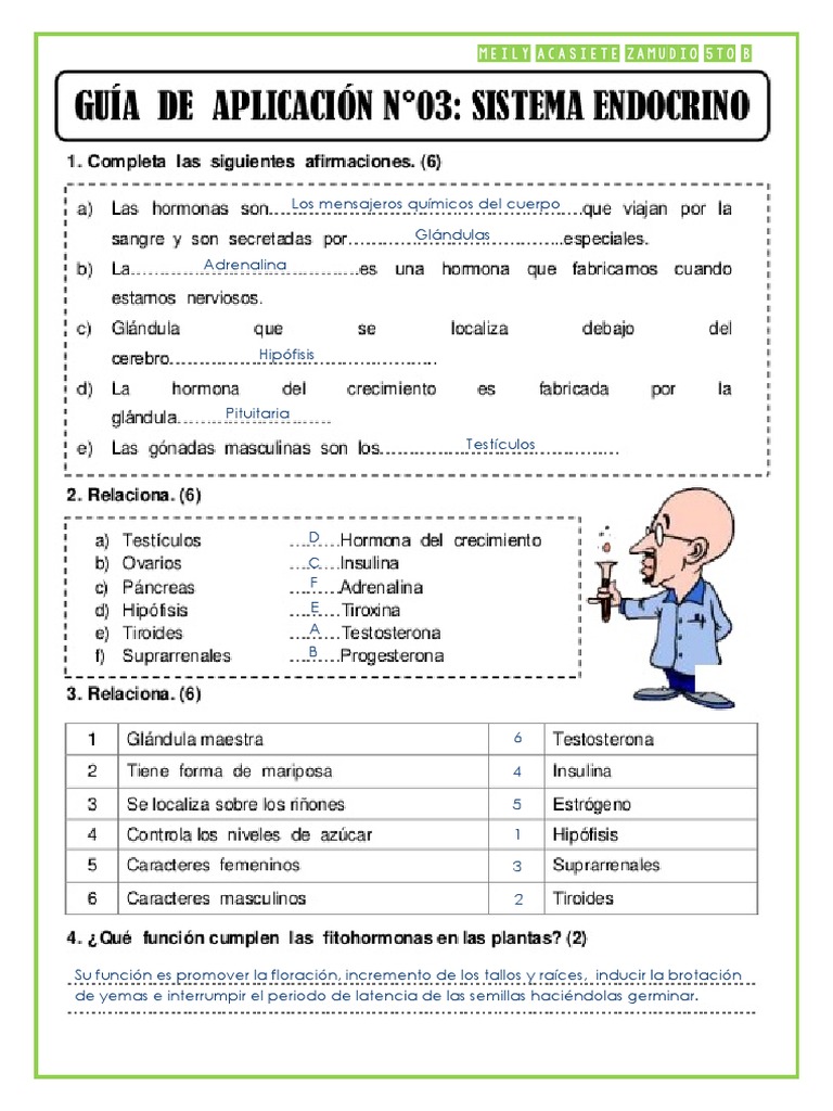 Cuestionario de sistema endocrino pdf