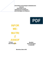 Informe Matriz Ansoff