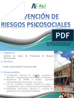 Riesgos Psicosociales PDF