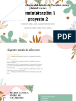 Admiproyecto2 PDF