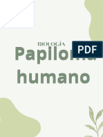Diapositiva de La Engermedad Papiloma