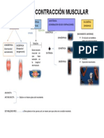 Tipos de Contracción Muscular