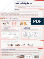 Evaluación Neurológica