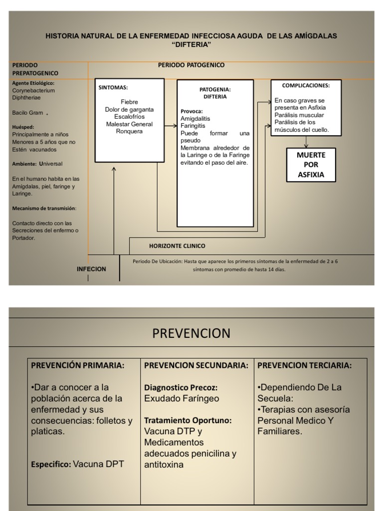 Historia Natural de La Enfermedad Difteria(2)